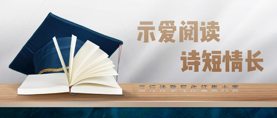 4.png 图片