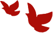 2.png 图片