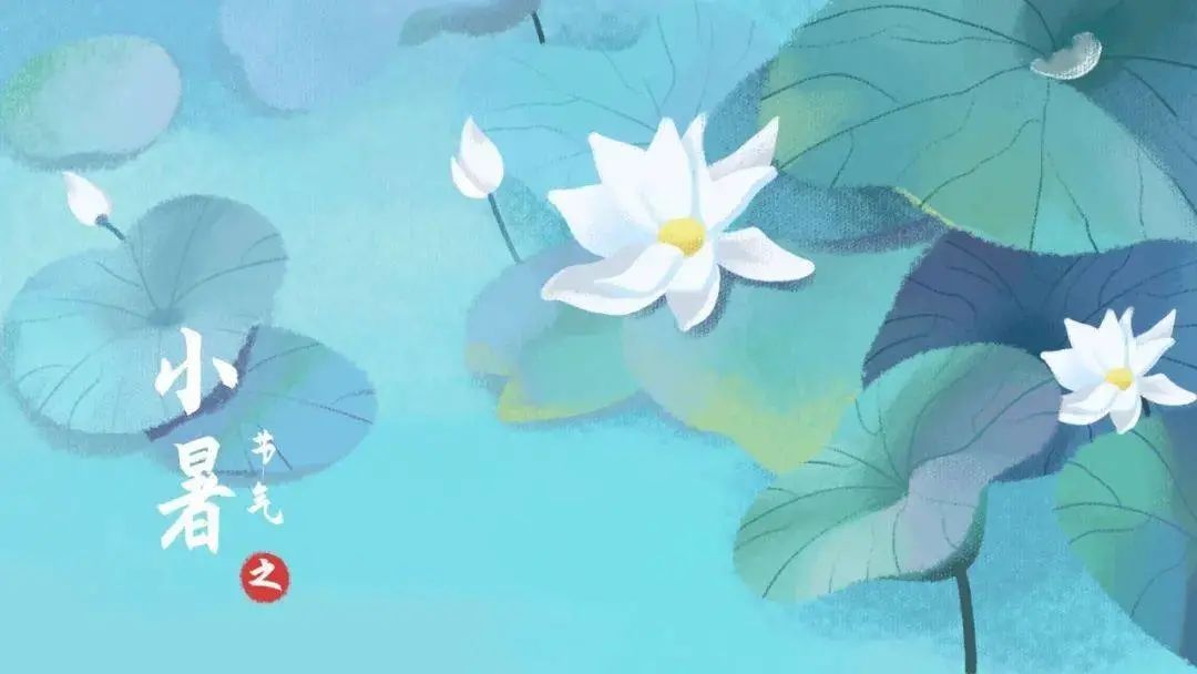 5.jpg 图片