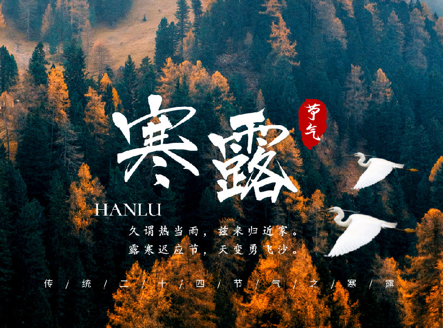 6.png 图片
