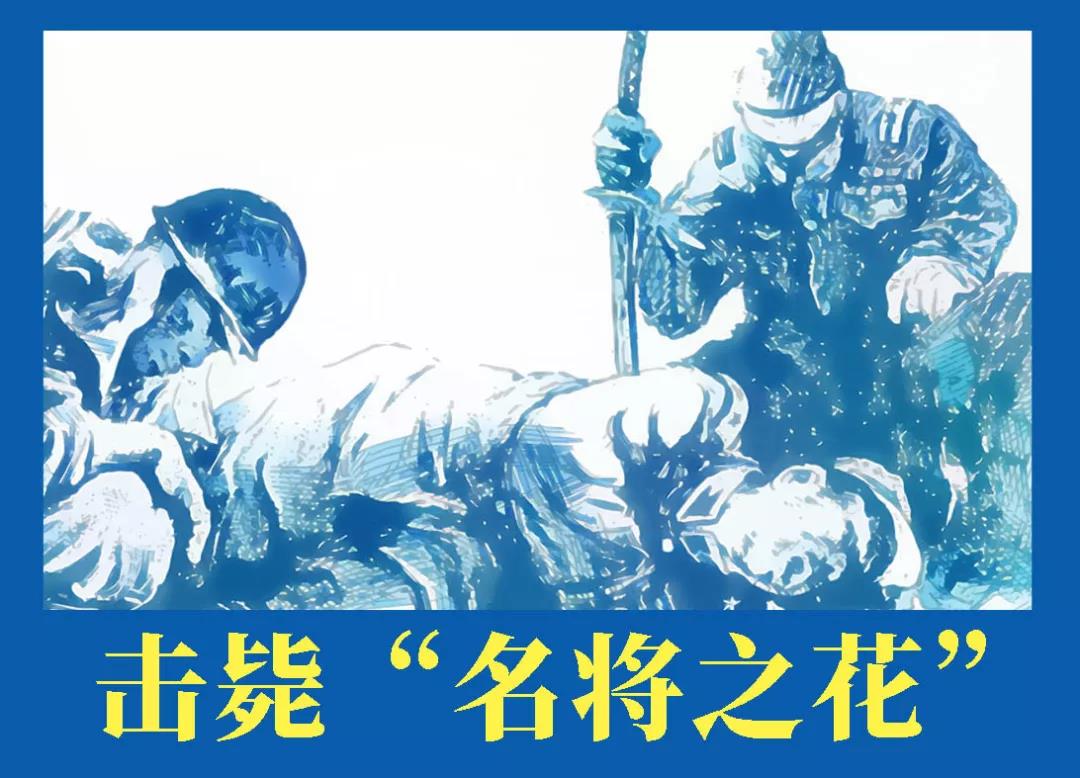 15.jpg 图片