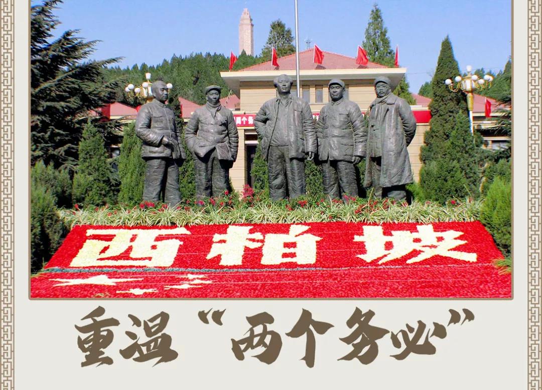 14.jpg 图片