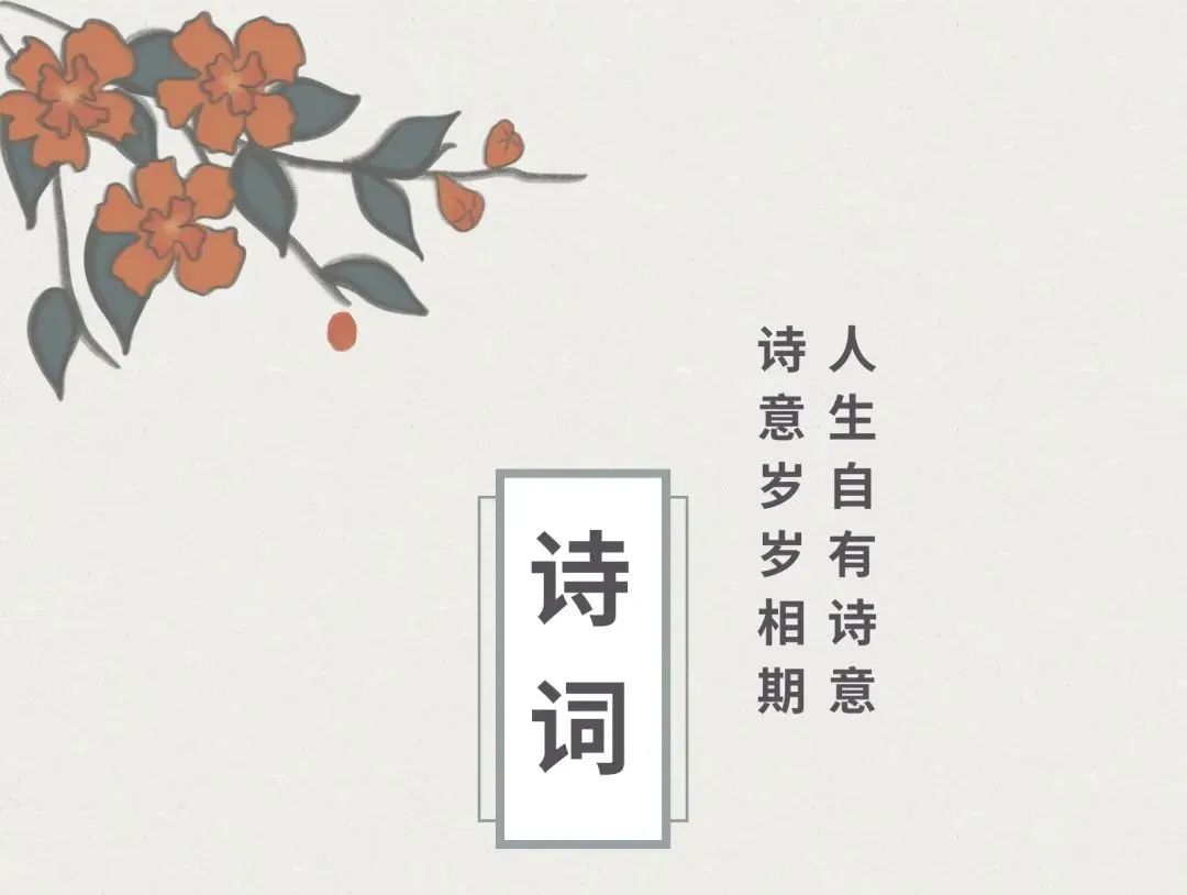 1.jpg 图片