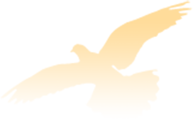 640.png 图片