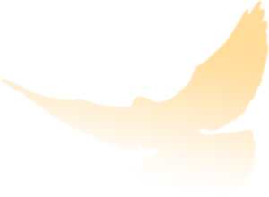 640.png 图片