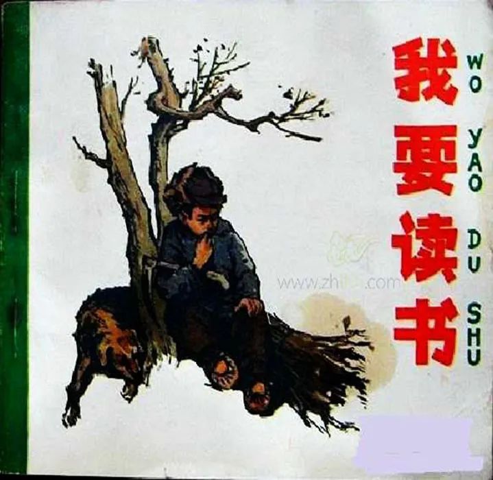 微信图片_20230519115536.jpg 图片