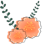 640 (3).png 图片